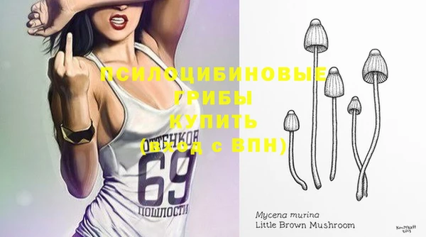 гидропоника Абинск