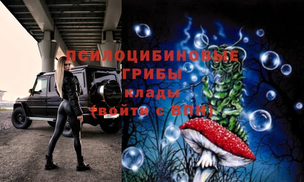 гидропоника Абдулино