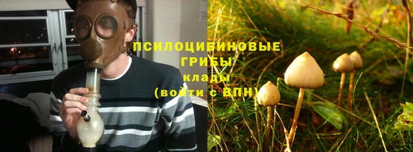 гидропоника Абинск