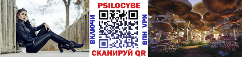 Галлюциногенные грибы Psilocybine cubensis  Саратов 